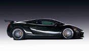 Lamborghini Gallardo GT3 Reiter